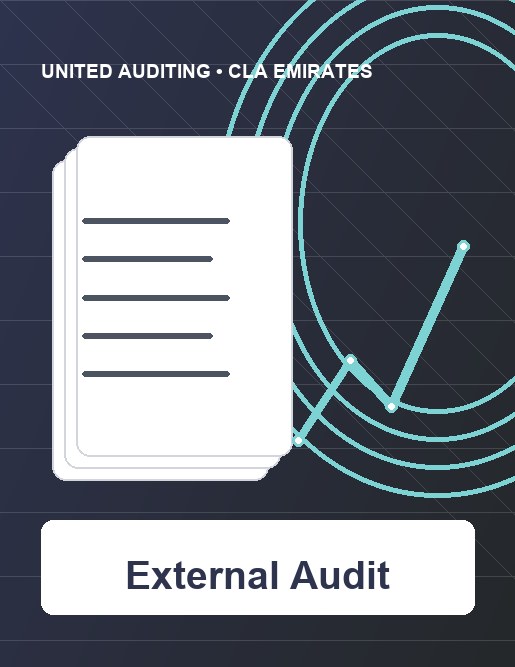 Financial Audit